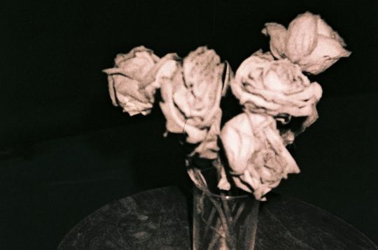 Beerenol Film Developing Workshop with Beer