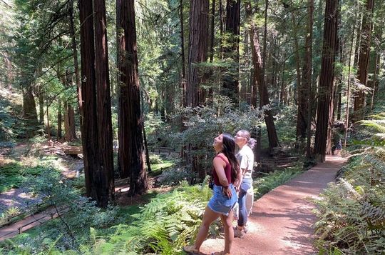 Private Muir Woods Tour + Alcatraz Island (Tickets Incl, Max 6)