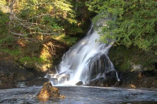 Scenic and Wildlife Tour