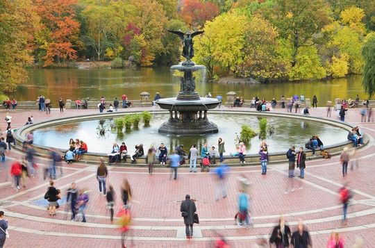 New York City Tour in One Day Central Park and 9 of 11 and Ferry Statue