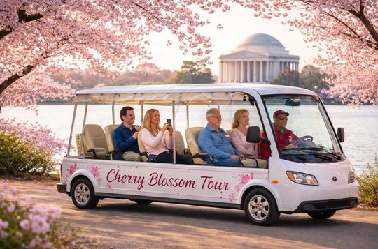 Washington DC Cherry Blossom Tour by E cart