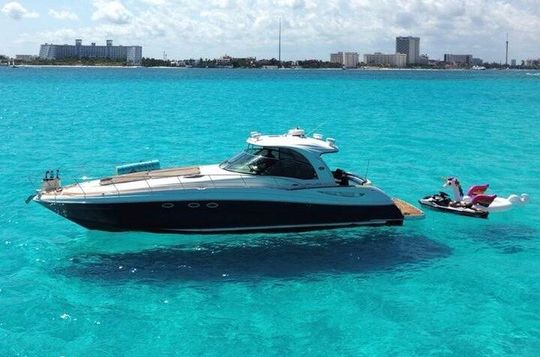 Luxury Private Yacht Charter by 52 ft Sea Ray Sundancer