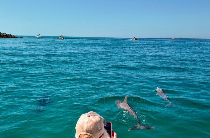 2-Hour Private Dolphin Boat Tour to Shell Island