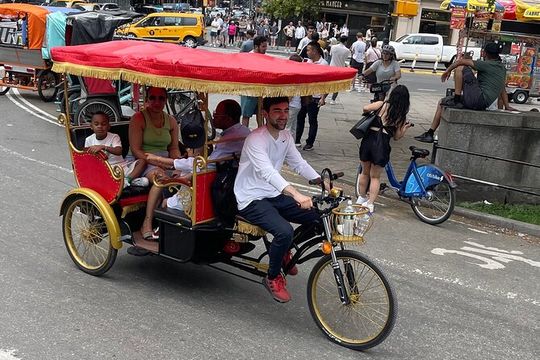 Private Central Park Pedicab Guided Tour with Photo Stops