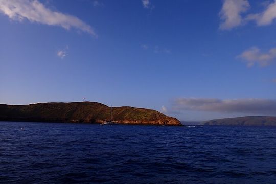 Private 2 Tank Dive at Molokini Crater Certified Divers Only