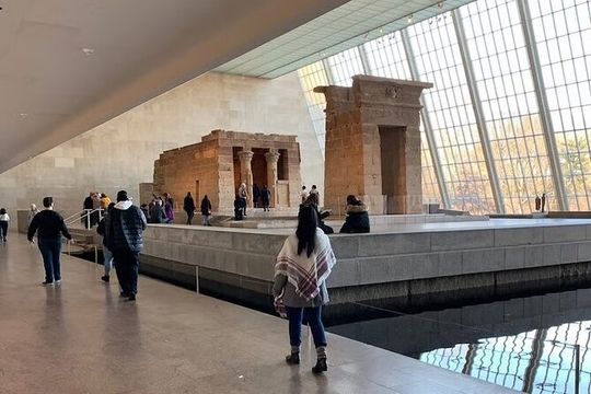 Met Tour Art Perception and the Human Mind