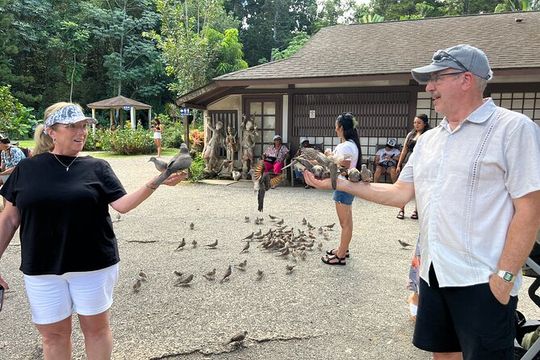 Oahu Heritage Small Group Tour
