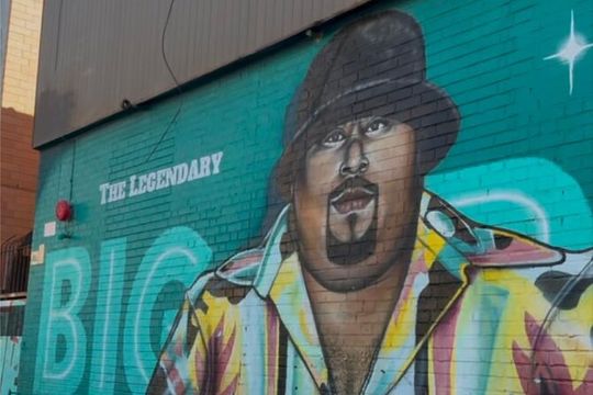 New York Bronx and Queens and Brooklyn Contrast Tour