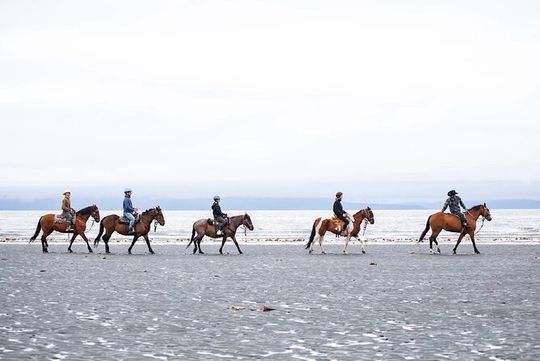 Beach Horse Riding Experience in Homer