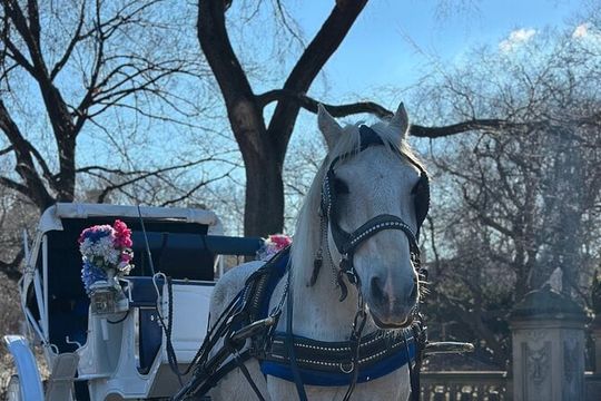 Classic Central Park Horse Carriage Ride with Iconic NYC Views