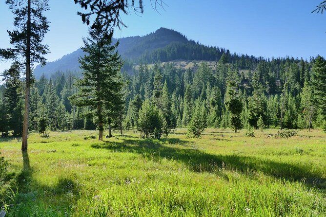5 Day VIP Small Group Tour of Yellowstone and Grand Teton