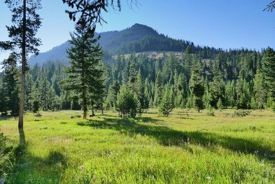 5 Day VIP Small Group Tour of Yellowstone and Grand Teton