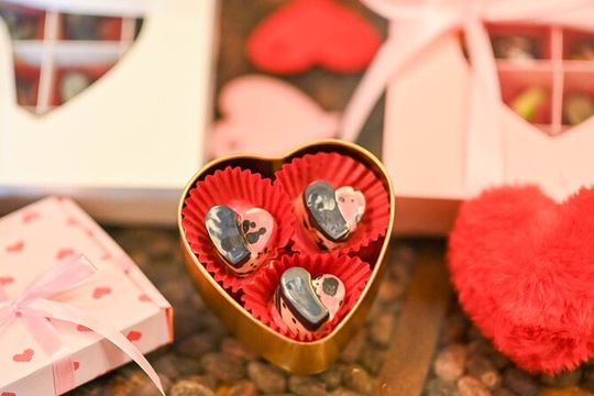 Interactive Chocolate Classes in Puerto Vallarta