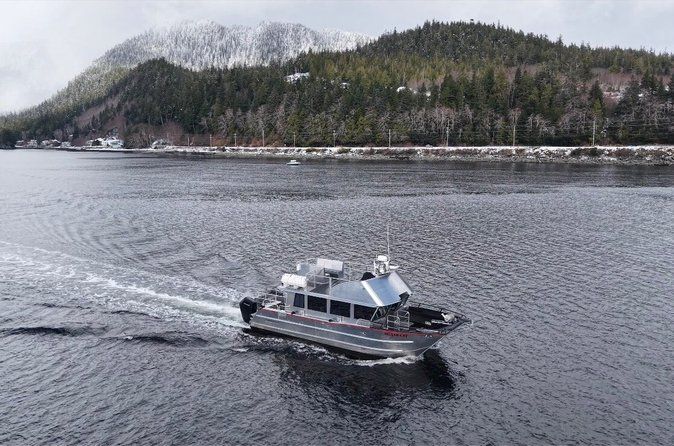 Whales and Lunch! Ketchikan's Premier Marine Mammal Viewing Tour