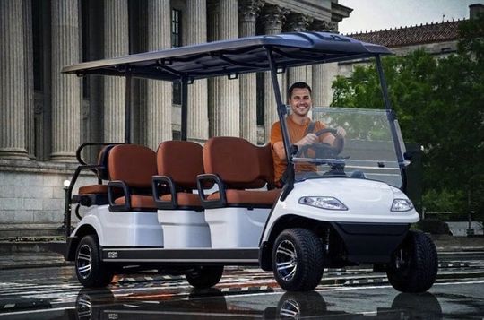 DC Monuments & Memorials Guided Cherry Blossom Cart Tour