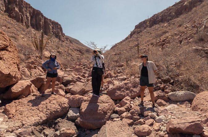 Hiking on Isla Espiritu Santo, the hidden side of La Paz