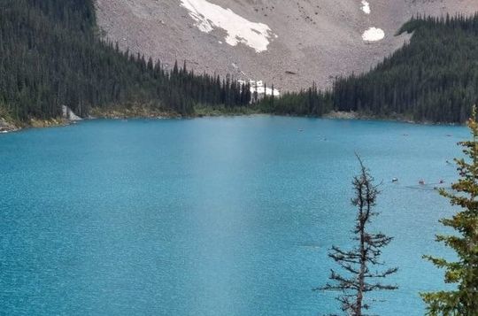 Banff, Lake Louise and Moraine Lake Private Tour from Calgary