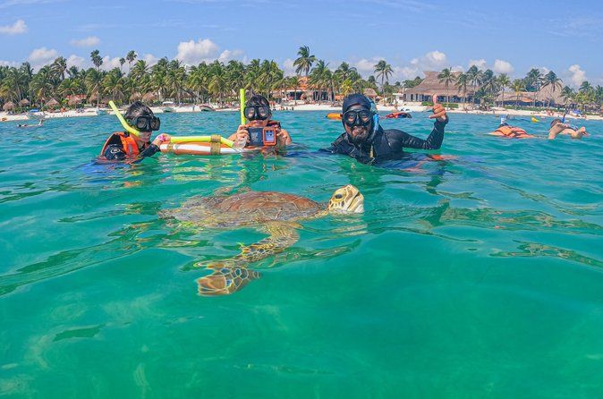 Swim with Turtles in Akumal