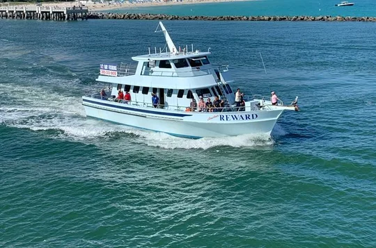 Dolphin Viewing Sunset Cruise