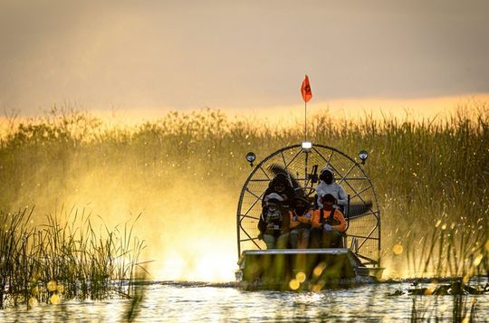 Miami Everglades National Park Half Day Tour