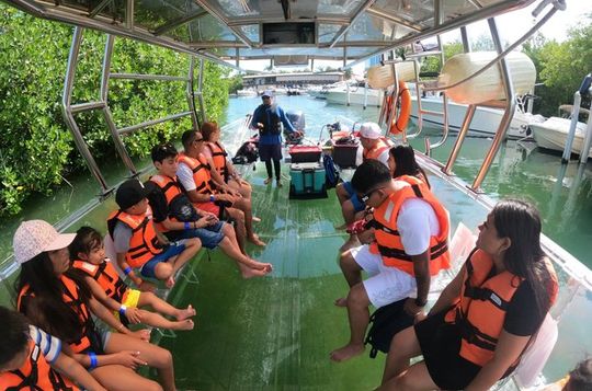 Transparent Boat Tour Cancun 2 Drinks Nichupté Lagoon Sandbank