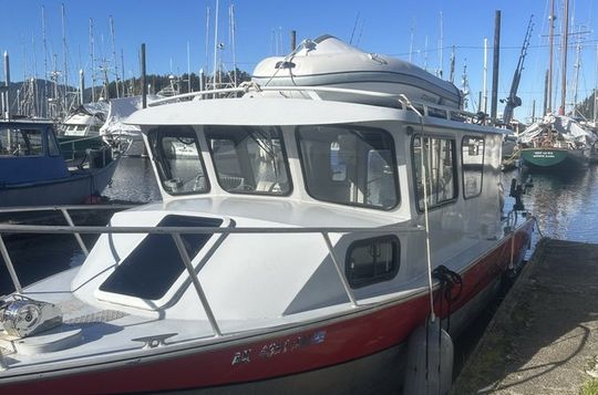 Small Whale and Fishing Charters