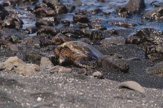 Grand Circle Island Tour