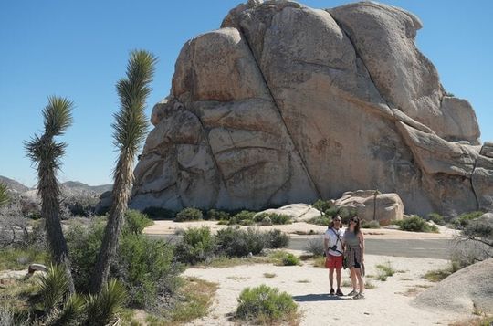 1-Day Joshua Tree National Park Private Adventure from San Diego