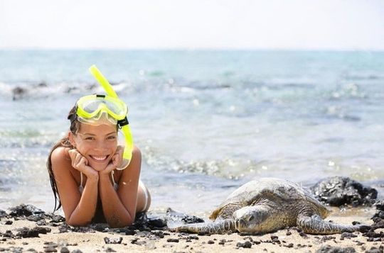 Experience the Beauty of Oahu Tour