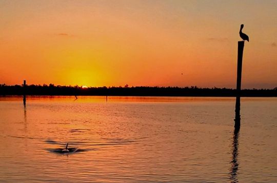 Private Luxury Sunset Cruise in Naples Bay and Keewaydin