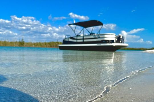 Private Luxury Keewaydin Island Shelling and Beach Excursion