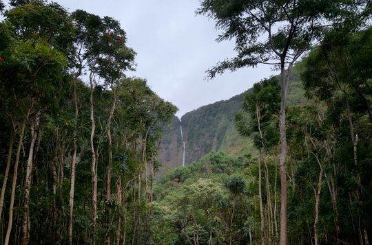 Cultural Stewardship in Waipiʻo Valley PRIVATE