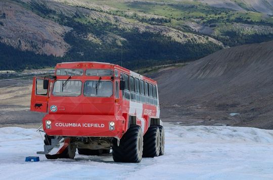 Full-Day Tour Columbia Icefield from Calgary