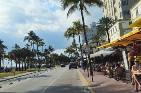 Private Everglades and City Tour Combined