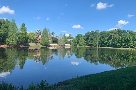Private Relaxing Lakeside Walk In Celebration Near Disney