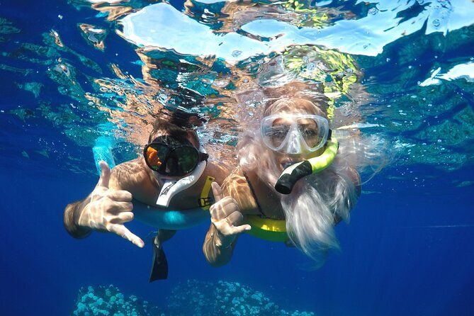 Maui Dolphins & Turtles - Makai Adventures