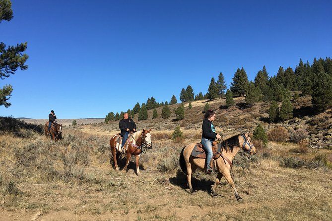 Sierra Historic Tour from Reno