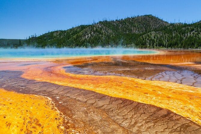 Best of Yellowstone National Park from Gardiner - Private Tour