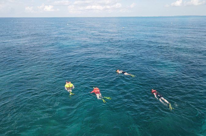 Key Largo Coral Reef Snorkeling Boat Trip