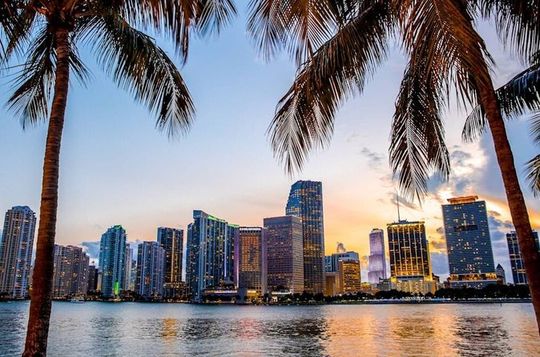 From Miami - City, Culture, Art and Beach Tour