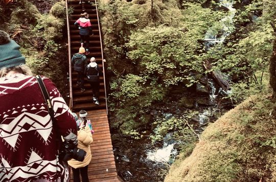 Ketchikan Town Tour, Totem Heritage Center & Bigfoot Trail Hike