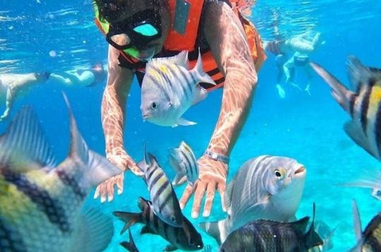 Snorkeling in Heaven Cozumel From Cancun