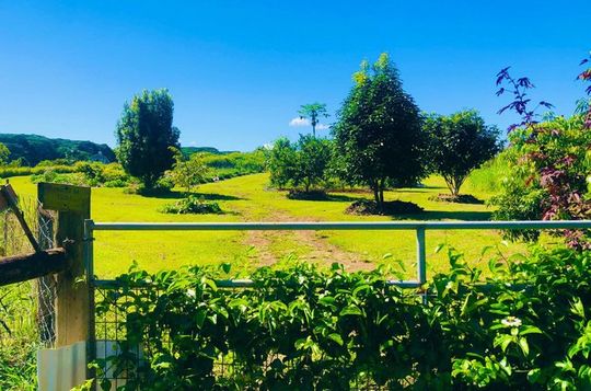 Kulaniapia Falls Farm Tour in Hilo with Daypass Discount