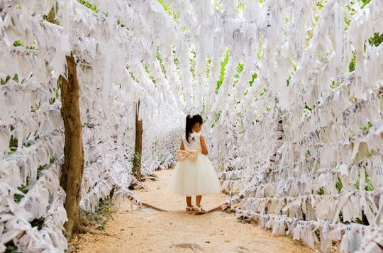 Cancun Great Glorious Churches Pilgrimage Tour