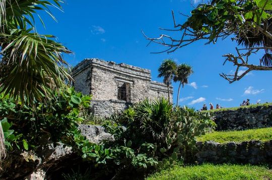 Tulum Ruins, Coba & Cenote with Buffet Tour Plus (bus drinks)