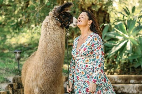 Alpaca Llama and Bunny Tea Parties
