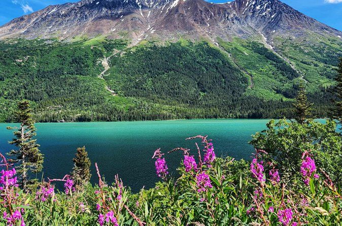 Private Skagway Tour Custom Half Day Charter For Up To 20 People