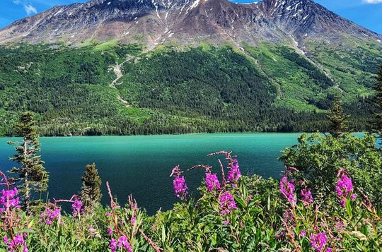 Private Skagway Tour Custom Half Day Charter