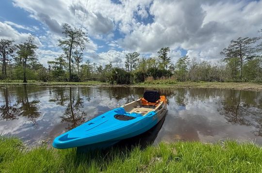 New Orleans Swamp Guided Swamp Kayak Tour