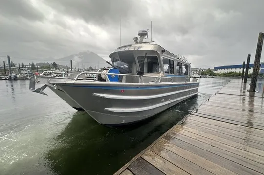 Private 6-Hour Juneau Whale Watching and Custom Sightseeing Tour